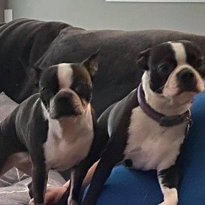 Meet your Posher, Terry